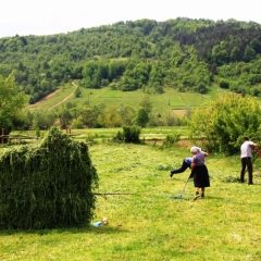 Roemenië (42)