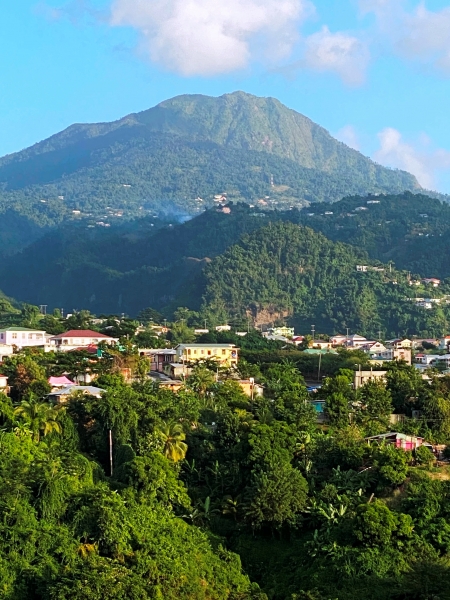Saint-Kitts-Nevis-94