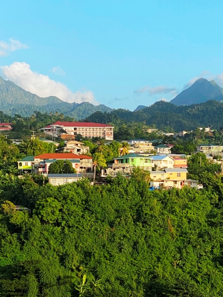 Saint-Kitts-Nevis-96