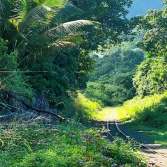 Saint-Kitts-Nevis-18