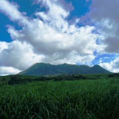 Saint-Kitts-Nevis-91