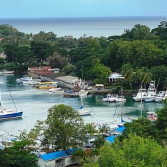 Saint-Lucia-29