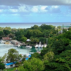 Saint-Lucia-32