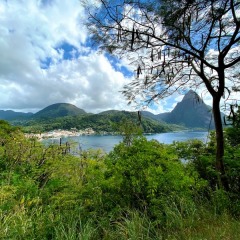 Saint-Lucia-44