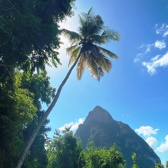 Saint-Lucia-5