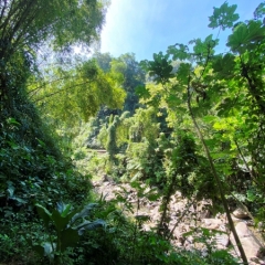 Saint-Vincent-Grenadines-18