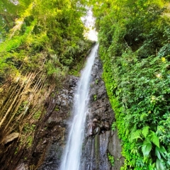 Saint-Vincent-Grenadines-21