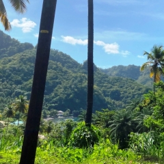 Saint-Vincent-Grenadines-27