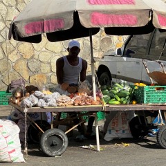 Saint-Vincent-Grenadines-73