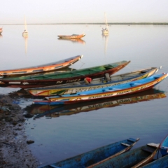 Senegal (1)