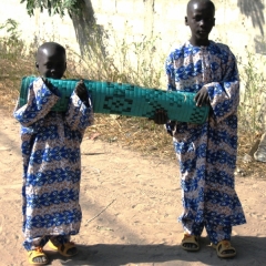 Senegal (132)