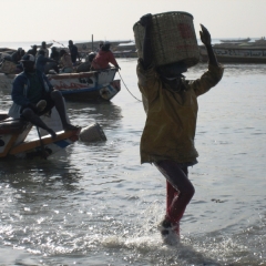 Senegal (19)