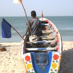 Senegal (55)