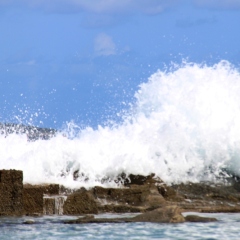 1_Sicily-Favignana-39