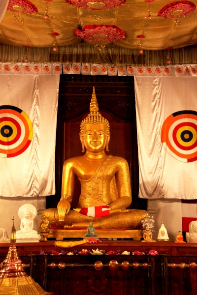 Sri Lanka (134)