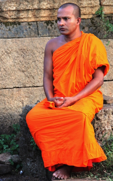 Sri Lanka (146)