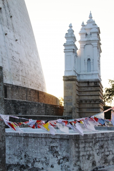 Sri Lanka (19)