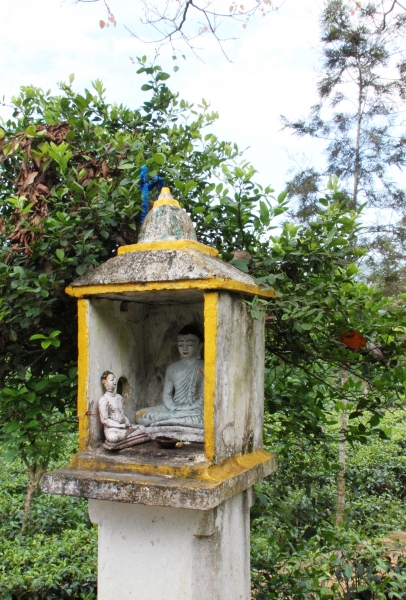 Sri Lanka (205)