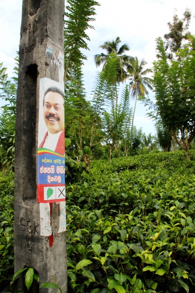 Sri Lanka (206)
