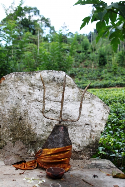 Sri Lanka (209)
