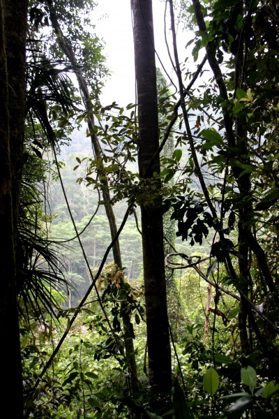 Sri Lanka (212)