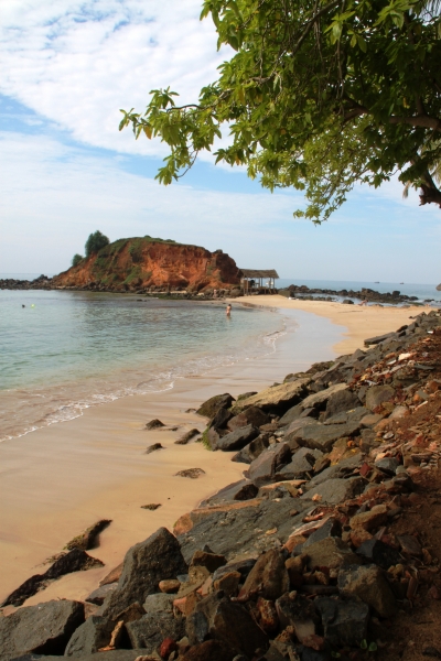 Sri Lanka (223)