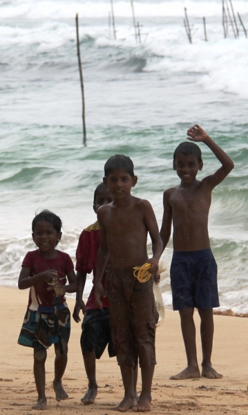Sri Lanka (232)