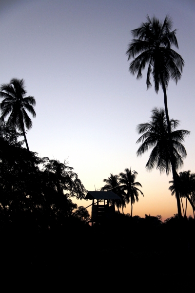 Sri Lanka (237)