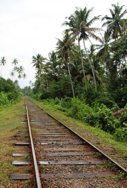 Sri Lanka (249)