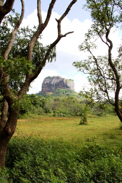 Sri Lanka (255)