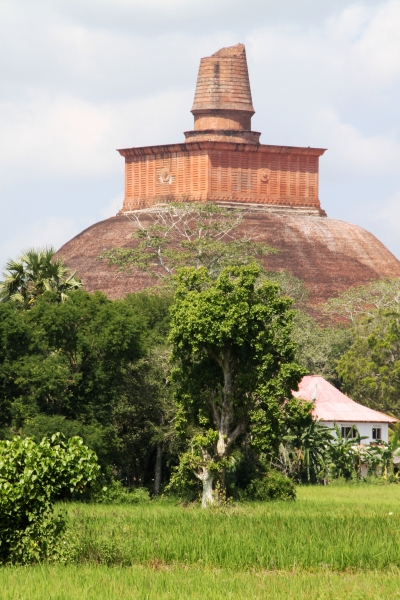 Sri Lanka (256)
