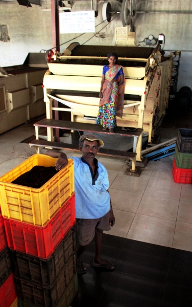 Sri Lanka (262)