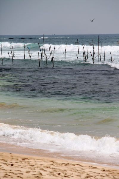 Sri Lanka (29)