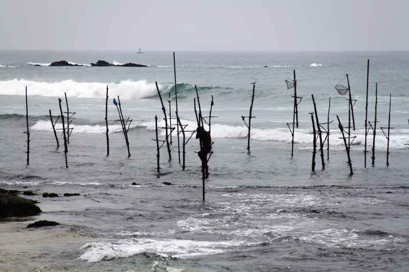 Sri Lanka (34)