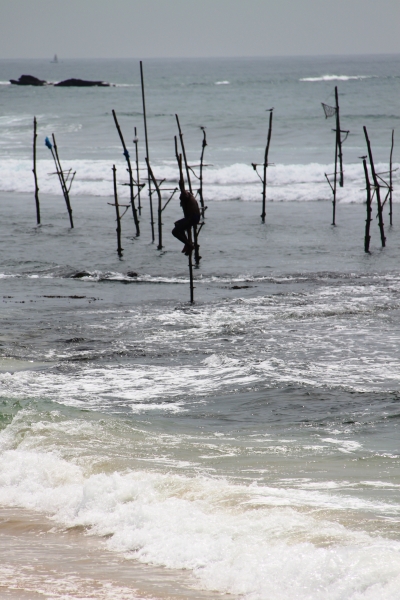 Sri Lanka (35)