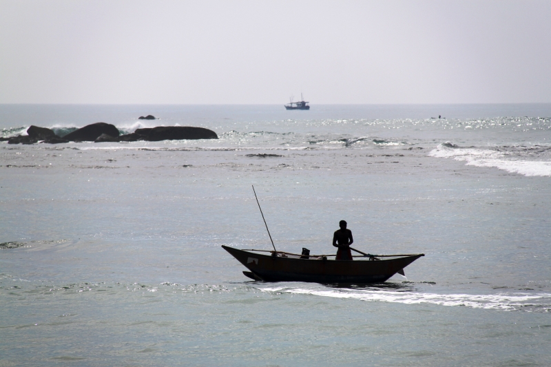 Sri Lanka (41)