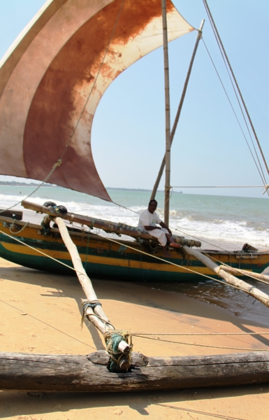 Sri Lanka (54)