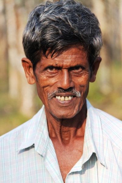 Sri Lanka (82)
