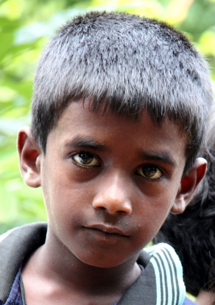 Sri Lanka (92)