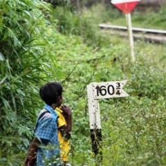 Sri Lanka (201)