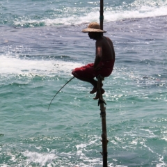 Sri Lanka (24)