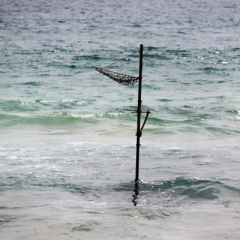 Sri Lanka (32)
