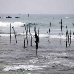 Sri Lanka (34)