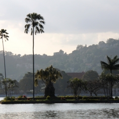 Sri Lanka (49)