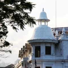 Sri Lanka (50)
