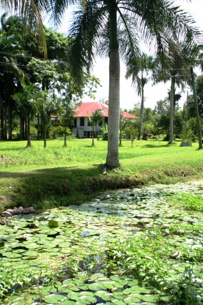 Suriname (5)