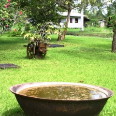 Suriname (18)