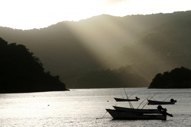 Tobago - Charlotteville (10)