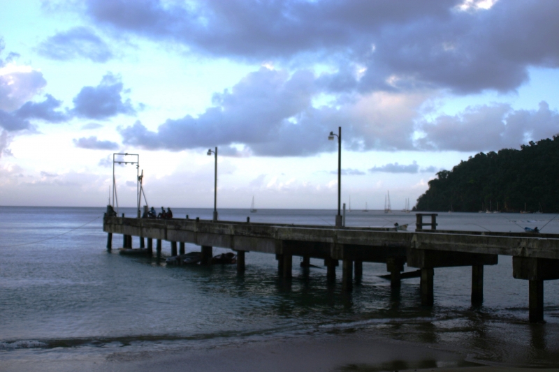 Tobago - Charlotteville (11)
