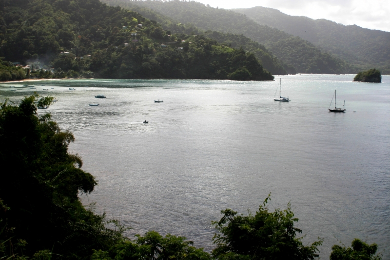 Tobago - Charlotteville (3)
